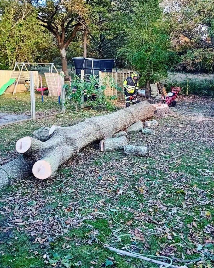 This is a tree laying on the ground of a garden that has just been felled by the operatives from NS Tree Surgery Camberley